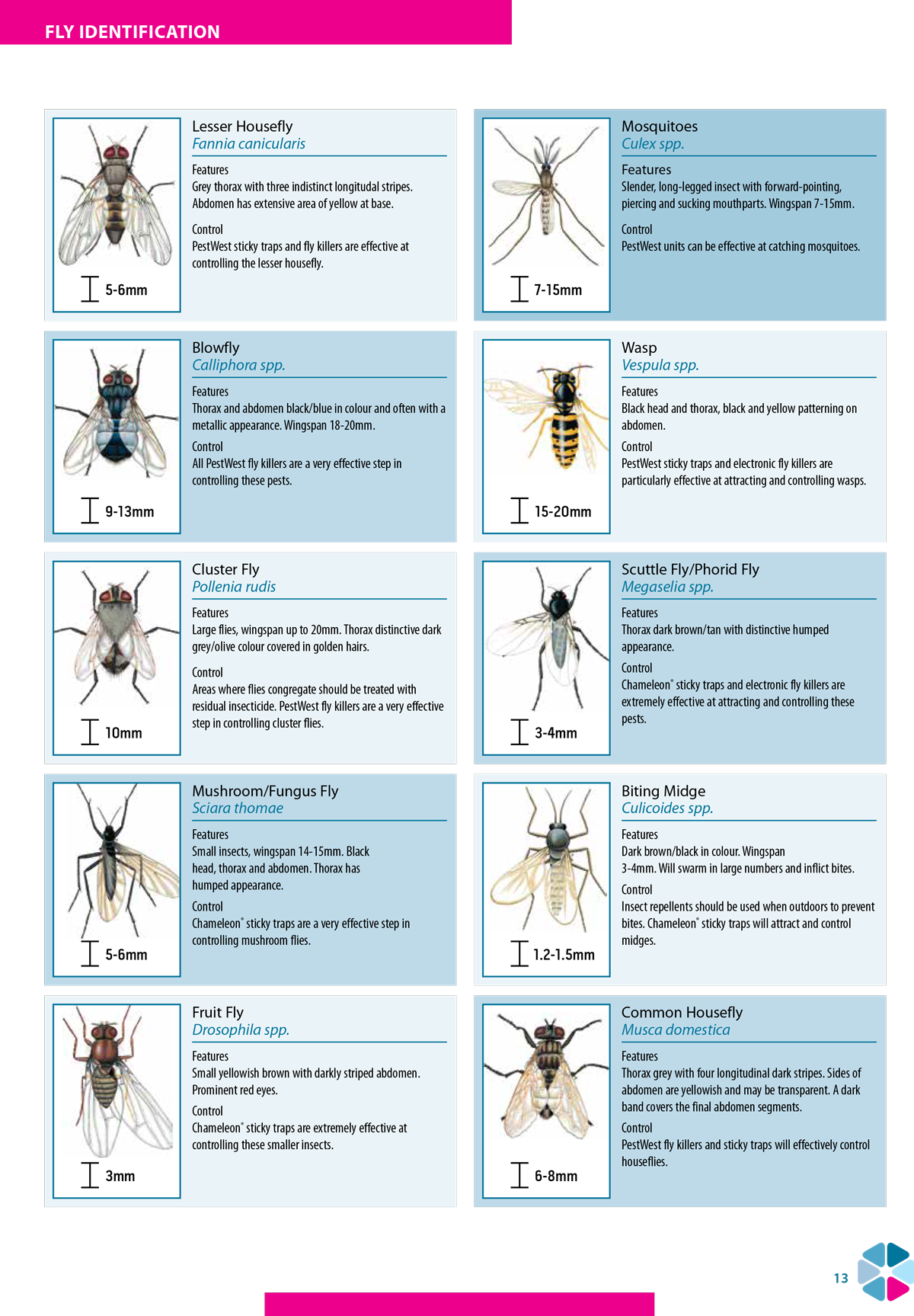 Insect identification PestWest LLC USA