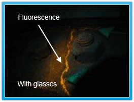Fluorescence with glasses