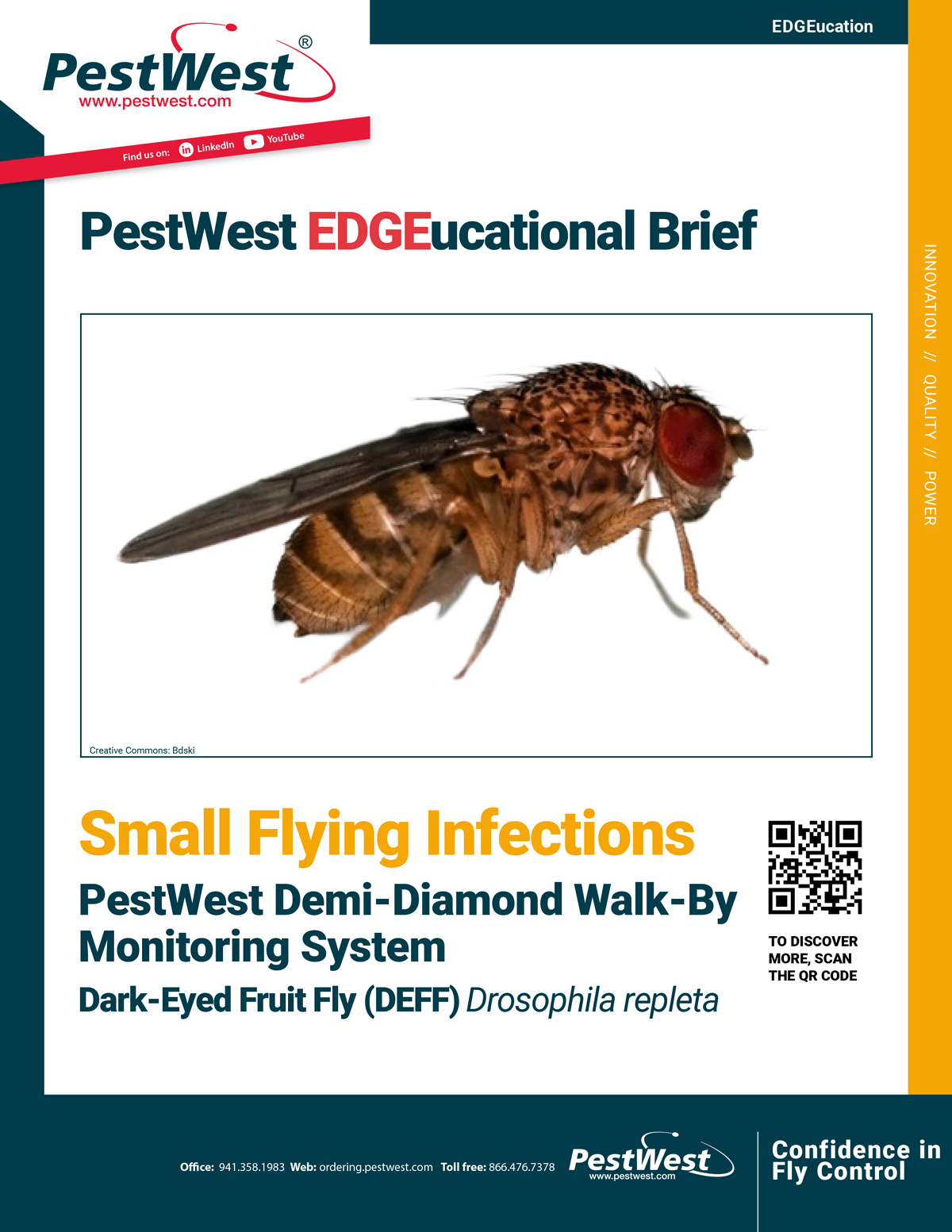 PestWest-US-EDGEucational-Brief-Dark-Eyed-Fruit-Fly